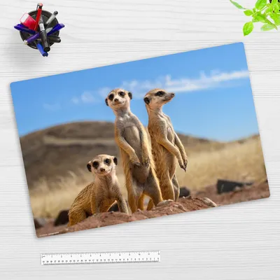 Produktbild von Schreibtischunterlage für Kinder und Erwachsene - Erdmännchen - 60 x 40 cm - premium Vinyl - Germany