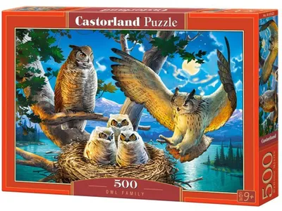 Produktbild von CASTORLAND Eule Familienpuzzle 500 Teile
