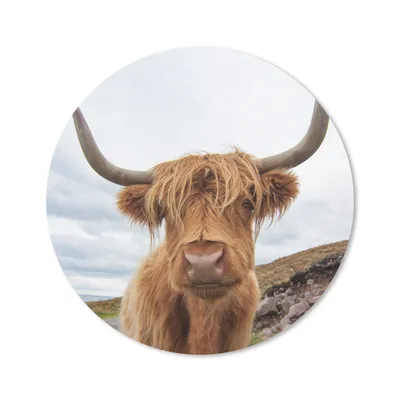 Produktbild von MuchoWow® Mauspad Mousepad Schottischer Highlander - Hörner - Berg 30x30 cm - Mousepads - Maus Mat - Pad - Mausunterlage - Tischunterlage - Schreibtischmatten