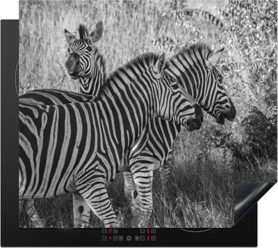 Produktbild von KitchenYeah© Herdabdeckplatte Drei grasende Zebras , 58x51cm, Küche Deko, Glaskeramikkochfeld Herdabdeckung, Abdeckplatte fùr Kochfeld