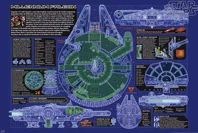 Produktbild von Star Wars Poster Millennium Falcon Cutout + Geschenkverpackung. Verschenkfertig!