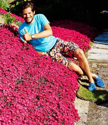 Produktbild von BALDUR Garten 3x Winterharte Bodendecker-Nelke Vivid®, Pflanzen im 9x9 cm-Topf, winterharte Polsterstaude, Gartennelke, mehrjährig, pflegeleicht, Wasserbedarf gering, blühend, Dianthus Hybride