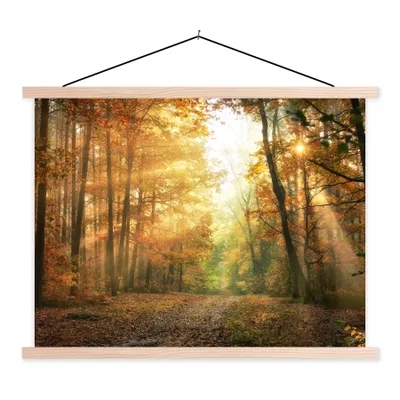 Produktbild von MuchoWow® Textilposter Wald - Herbst - Sonne - Landschaft - Natur - Bäume - Laub 60x45 cm mit holzfarbenen Rahmen - Bild