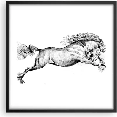 Produktbild von Gerahmtes Poster - Schwarzer Rahmen - Pferd Zeichnung Bleistift - 50x50 cm - Wand Bild - Wanddeko - Wandbilder - Kunstposter - Wandposter - Bilderrahmen - Bilder - Kunstdruck - P2BAC50x50-4906