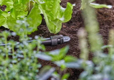 Produktbild von Gardena Plug, Rohrenden-Stecker, Tropfbewässerungssystem, Kunststoff, Schwarz, Weiblich, 13 mm