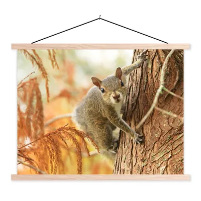 Produktbild von MuchoWow® Textilposter Eichhörnchen - Baum - Herbst 150x113 cm mit holzfarbenen Rahmen - Poster
