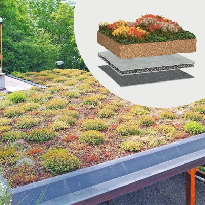 Produktbild von BauderGREEN Gründachpaket Extensiv 100kg/m² - 10m²