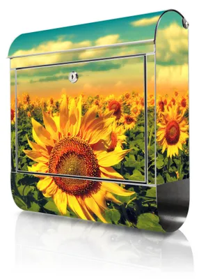 Produktbild von banjado Edelstahl Briefkasten mit Zeitungsfach mit Motiv Sonnenblumen großer Design Postkasten rostfrei, A4 Einwurf [BKGE2 10886]