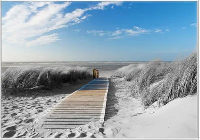 Produktbild von Wallario Wandbild Auf dem Holzweg zum Strand in schwarz-weiß Optik, Größe: 70,30 x 100,30 cm, Poster mit weißem Kunststoffrahmen