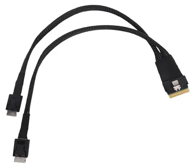 Image de Câble serveur SAS SFF 8654 8i vers double SFF 8611 4i, connecteur 74 broches, 24 Gbps ; câble SFF 8654 vers double SFF 8611 compatible avec OCulink