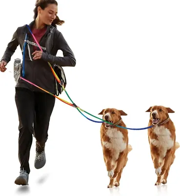Imagen del producto de Correa manos libres para perros, de nylon, 240 cm, reflectante, con 2 mosquetones, para perros grandes