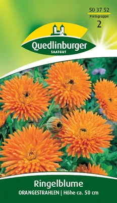 Produktbild von Quedlinburger Saatgut - Ringelblumen Orangestrahlen - Samen - 503752