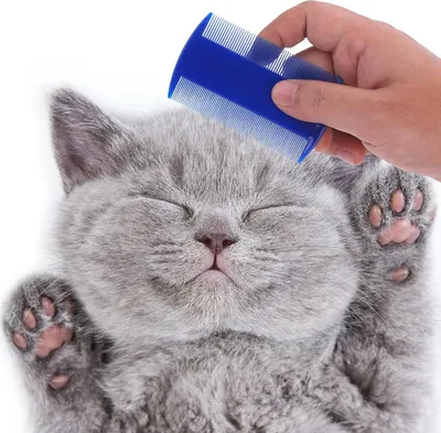 Produktbild von Haustierpflege-Set - Pflegekämme für Hunde, Katzen, Kaninchen - Edelstahl - Langlebig und multifunktional - Flohkamm - Läusekamm - Schmutzfleckenentferner