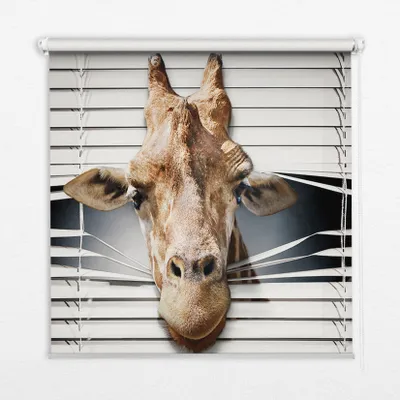 Produktbild von Seitenzug-Rollo Fensterrollo Jalousie - Lichtdurchlässig Springrollos - 120x180 cm - Giraffe
