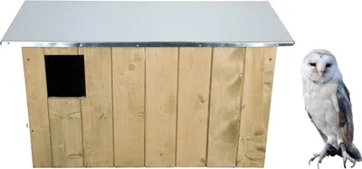 Produktbild von Esschert Design Schleiereulenkasten; NK43