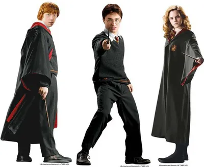 Image de Harry Potter, Hermione et Ron - Set de 3 décorations de table