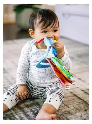 Immagine prodotto di Libro per massaggiagengive Baby Einstein: esploratori curiosi