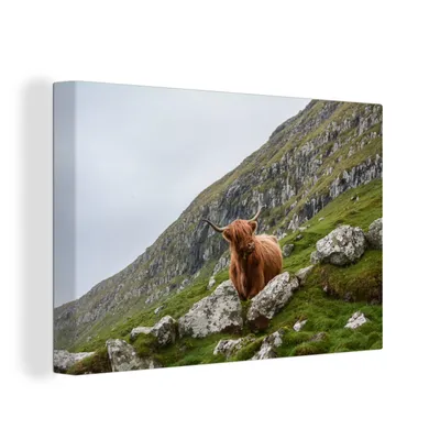 Zdjęcie produktu dla OneMillionCanvasses® - Obrazy na płótnie - 150x100 cm, Zwierzęta - Szkockie bydło górskie - Szkocja, Dekoracja ścienna z nadrukiem