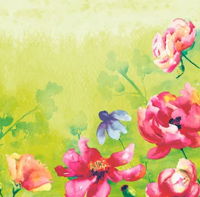 Immagine prodotto di Tovaglioli Dunisoft Garden Joy 60 pezzi 1 confezione