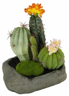 Produktbild von Kunstcactussen in Steinen, 19 x 15 x 14 cm