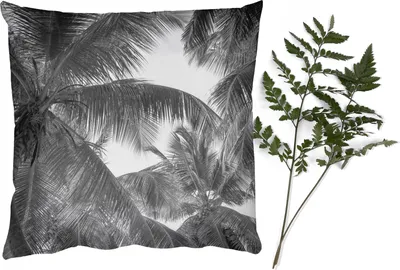 Produktbild von MuchoWow® Zierkissen Sofakissen Wohnzimmer Dekokissen 50x50 cm Palmwedel - Vintage - Natur - Komfort - Sofakissen