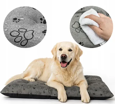 Produktbild von Superkissen24 Premium Hundebett XL wasserdicht 100x70 cm Hunde
