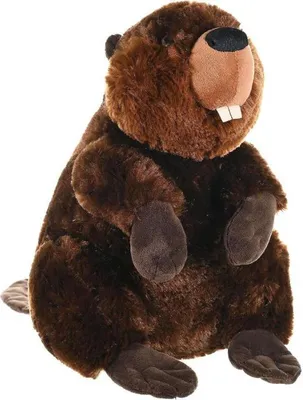 Produktbild von Wild Republic Biber 30 cm aufwartend braun Kuscheltier