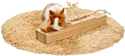 Produktbild von Karlie Brain Train Cube Nagerspielzeug 6 Klötze Holz Natur 37 x 8,5 x 6,5 cm