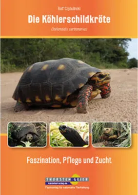 Immagine prodotto di Die Köhlerschildkröte Chelonoidis carbonarius