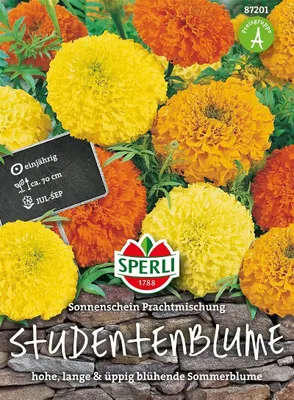 Produktbild von Studentenblume ''Sonnenschein Prachtmischung''