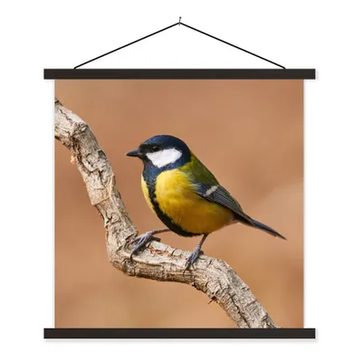 Produktbild von MuchoWow® Textilposter Vogel - Kohlmeise - Zweige 90x90 cm mit schwarzem Rahmen - Magnetisches