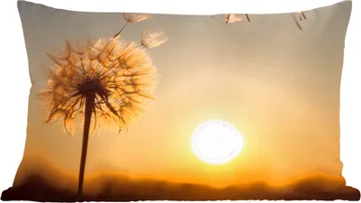 Produktbild von MuchoWow® Zierkissen Sofakissen Wohnzimmer Dekokissen 60x40 cm Löwenzahn - Sonne - Sonnenuntergang - Kopfkissen - Polster mit Foto