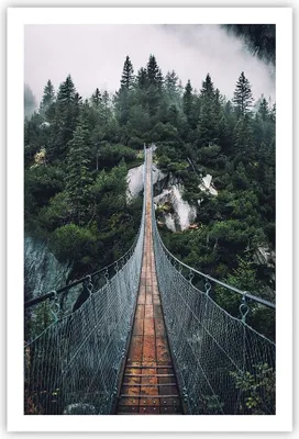 Produktbild von Poster - Poster ohne Rahmen - Ausgesetzt Brücke Wald - 61x91,5 cm - Wand Bild - Wanddeko - Wandbilder - Kunstposter - Wandposter - Bilder - Kunstdruck - Wanddekoration - Wandbild - P2XPA61x91-5189