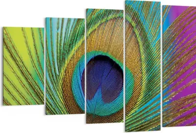 Produktbild von Bild auf Leinwand - Leinwandbild - 5 Teile - Pfauen Federn Regenbogen - 150x100cm - Wand Bild - Wanddeko - Wandbilder - Leinwanddruck - Bilder - Wanddekoration - Leinwand bilder - EG150x100-4385