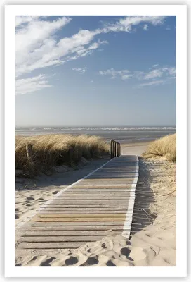Produktbild von Poster - Poster ohne Rahmen - Strand Meer Fußgängerbrücke Ufer - 61x91,5 cm - Wand Bild - Wanddeko - Wandbilder - Kunstposter - Wandposter - Bilder - Kunstdruck - Wandbild - P2XPA61x91-2657