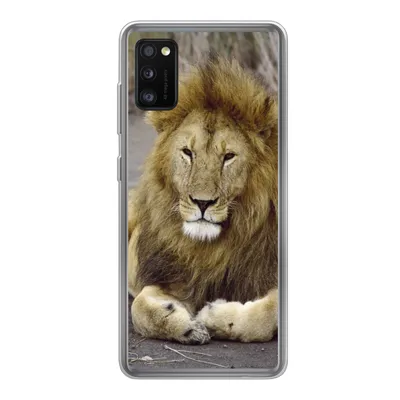 Produktbild von MuchoWow® Handyhülle Schutzhülle Hülle für Samsung Galaxy A41 Löwe - Afrika - Tier Silikon Softcase Handy Hülle - Mobiltelefon