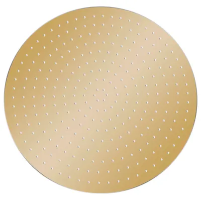 Immagine prodotto di vidaXL Doccia a pioggia in acciaio inox 40 cm rotonda Golden