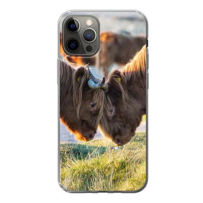 Produktbild von MuchoWow® Handyhülle Schutzhülle Hülle für iPhone 13 Pro Schottische Highlander - Tiere - Sonne Silikon Softcase Handy Hülle - Handy-Tasche