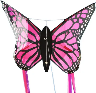 Produktbild von Spiderkites Butterfly kite Pink