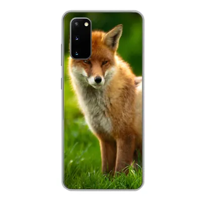 Produktbild von MuchoWow® Handyhülle Schutzhülle Hülle für Samsung Galaxy S20 Fuchs - Licht - Gras Silikon Softcase Handy Hülle - Bild