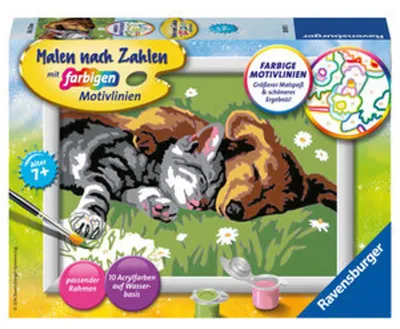 Obrázok produktu pre Ravensburger Tiefer Schlaf, 1 strany, Obrazy v balení, Chlapec / dievča, Súprava farieb s číslami