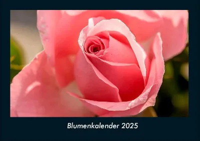Produktbild von Blumenkalender 2025 Fotokalender DIN A4