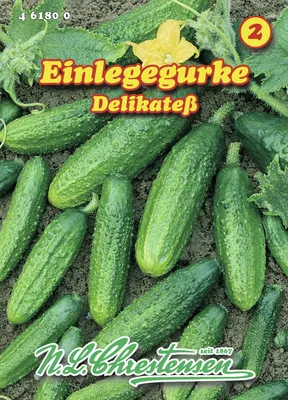 Artikelbild 1 von 'Einlegegurke Delikatess' aus der Kategorie Einlegegurkensamen
