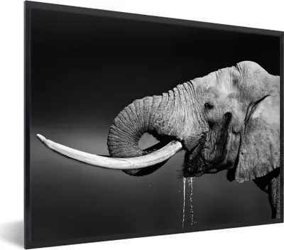 Produktbild von MuchoWow® Gerahmtes Poster Elefant - Wasser - Tiere - Schwarz - Weiß 40x30 cm - Poster mit Schwarzem Bilderrahmen Wandposter Rahmen Foto Bilder - Kunstposter - Wanddekorationen