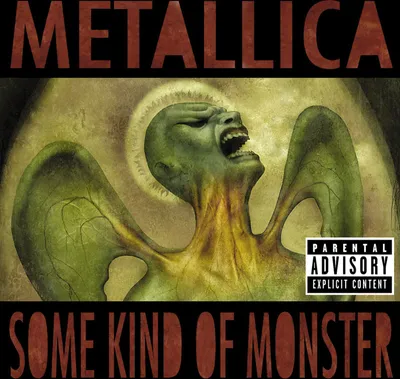 Obrázek produktu pro Metallica: Metallica: (CD / S)