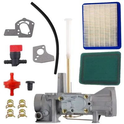 Vergaser mit Luftfilter für Briggs & Stratton Motoren