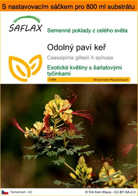Obrázek produktu pro SAFLAX Garden in the bag - Odolný paví keř - Caesalpinia gillesii X spinosa - 10 Semena - S pěstebním substrátem v praktickém samovztyčovacím sáčku