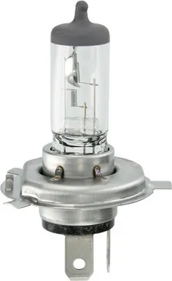 Obrázek produktu pro Osram 4050300925868, 75 V, 1 kusů