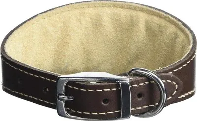 Produktbild von Famanu Hundehalsband 3/4 x 10 bis 12 Zoll - Braun