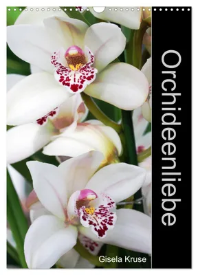 Produktbild von Orchideenliebe (Wandkalender 2027 DIN A3 hoch), CALVENDO Monatskalender